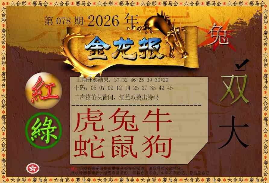 078期金龙报[图]