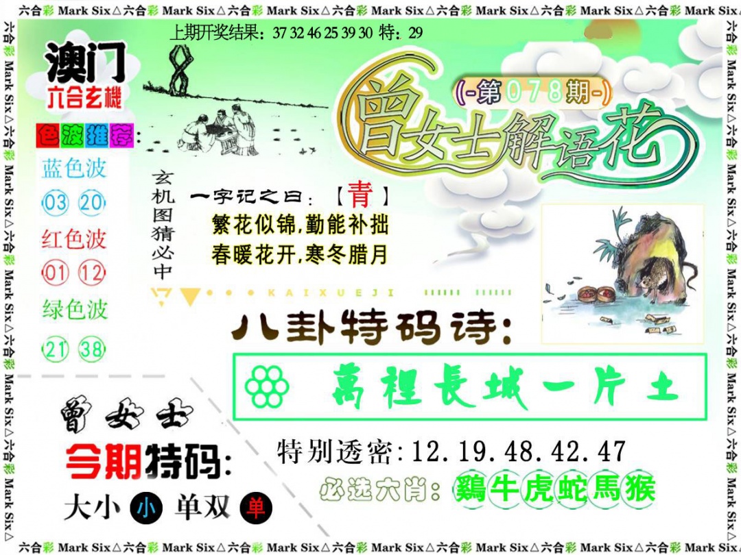 078期曾女士解语花[图]